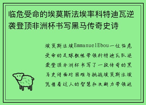 临危受命的埃莫斯法埃率科特迪瓦逆袭登顶非洲杯书写黑马传奇史诗 临危受命的埃莫斯法埃率科特迪瓦逆袭登顶非洲杯书写黑马传奇史诗