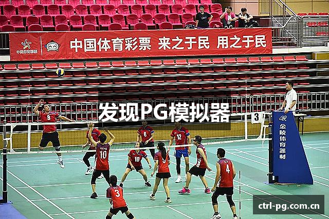 发现PG模拟器
